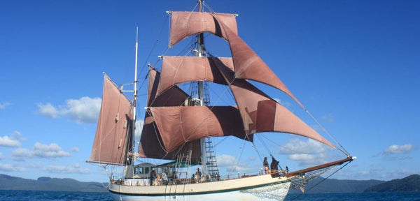 Tradewinds Expedition