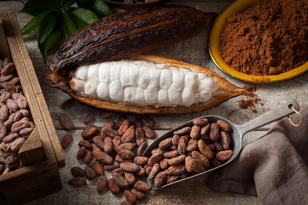 Organic Cacao