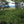 Tradewinds Coffee Expedition - Sydney Harbour to Goroka Papua New Guinea