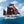 Tradewinds Coffee Expedition - Sydney Harbour to Goroka Papua New Guinea