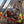 Tradewinds Coffee Expedition - Sydney Harbour to Goroka Papua New Guinea
