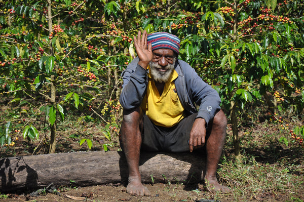 Tradewinds Coffee Expedition - Sydney Harbour to Goroka Papua New Guinea