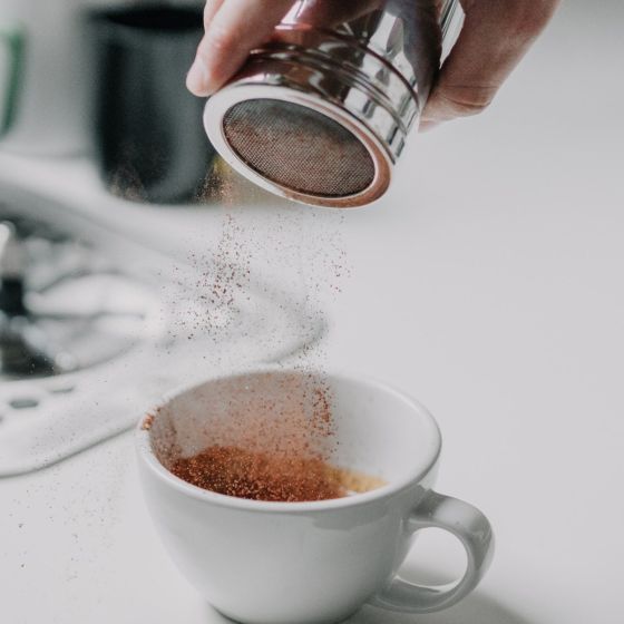 Rhino Cocoa Shaker - Stainless Steel - Fine