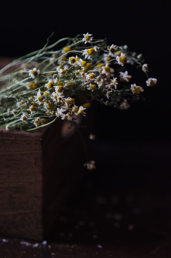 Pyramid Tea Bags Organic Chamomile Flower